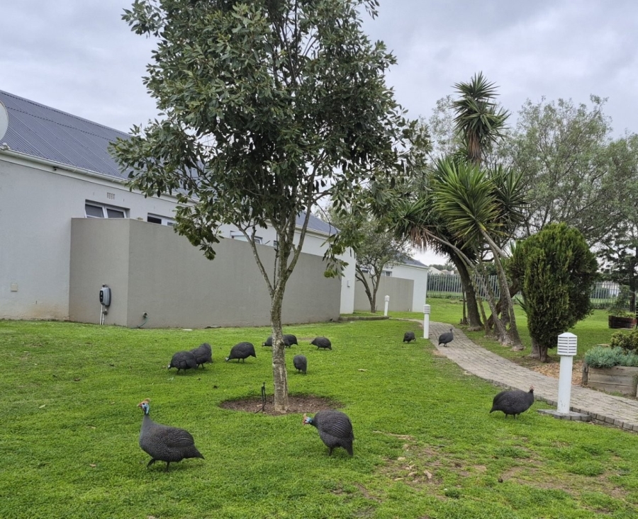 2 Bedroom Property for Sale in Goedemoed Western Cape
